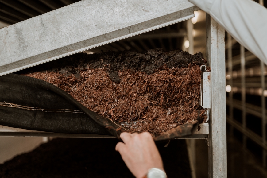Compost en vullen